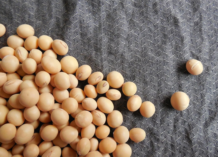 【ハゲ朗報】大豆イソフラボンを定期的に摂ればハゲない