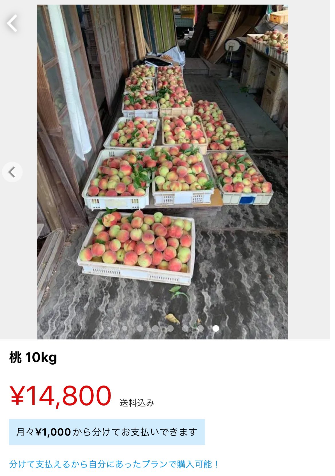【画像】メルカリに桃を大量出品している日本語が怪しい人、答え合わせ