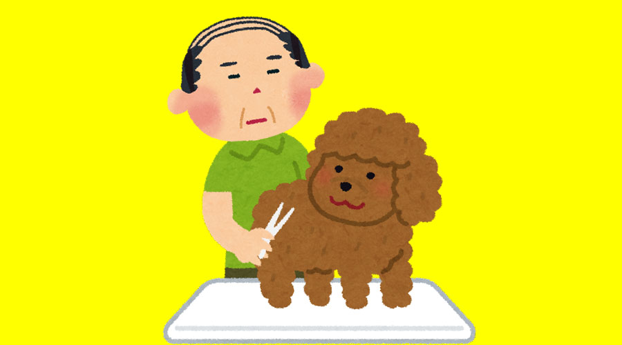 【散髪速報】犬のカット代が7000円もするんだが？
