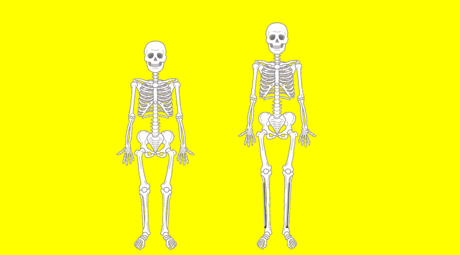 【チビ速報】骨延長手術以外で身長を伸ばす方法